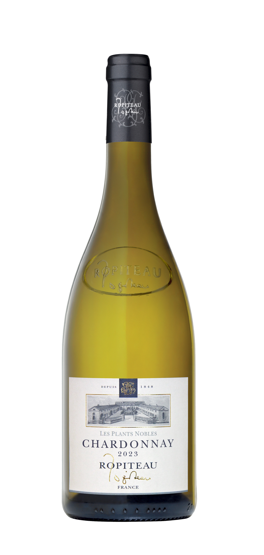 Ropiteau Frères Chardonnay Les Plants Nobles 2023